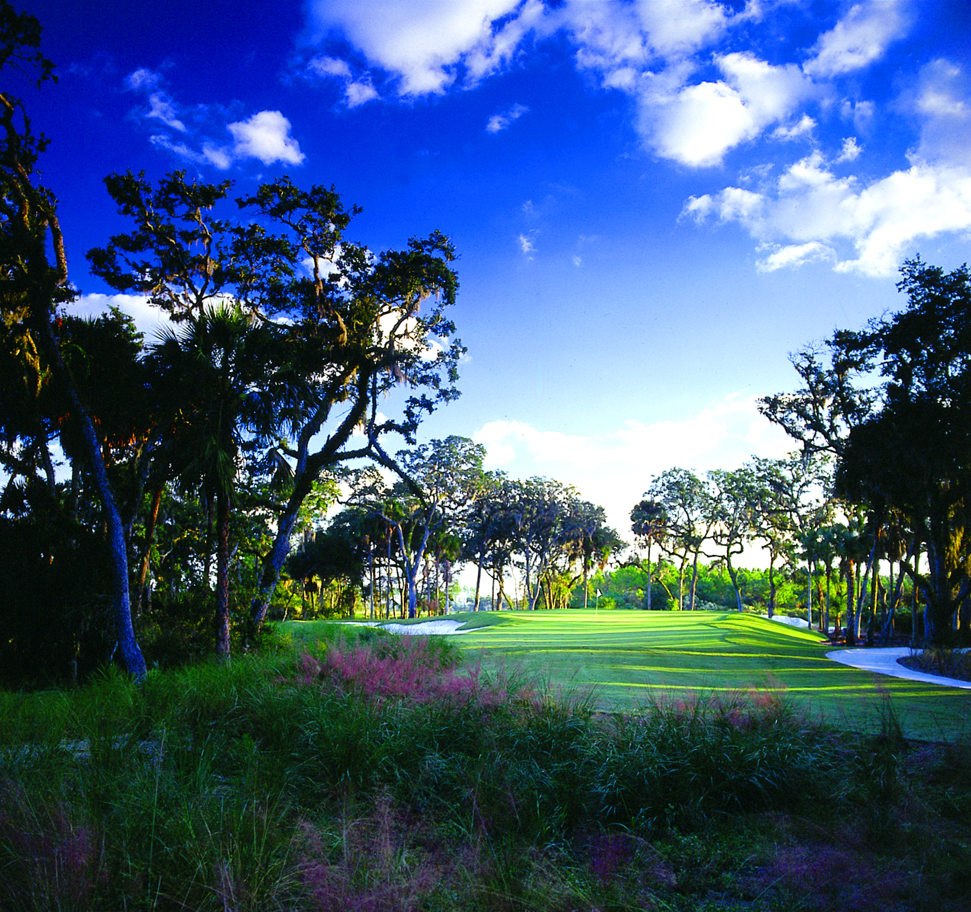 Creek Course Sunset